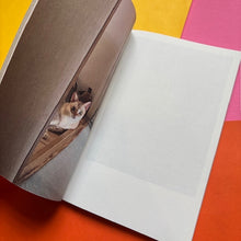 Load image into Gallery viewer, This Is Not My Cat
