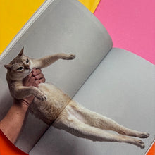 Load image into Gallery viewer, This Is Not My Cat