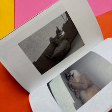 Load image into Gallery viewer, This Is Not My Cat