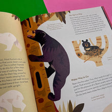 Load image into Gallery viewer, Brainy About Bears