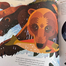 Load image into Gallery viewer, Brainy About Bears