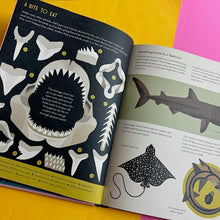 Load image into Gallery viewer, Smart About Sharks