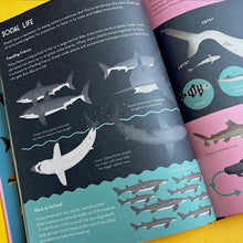 Load image into Gallery viewer, Smart About Sharks
