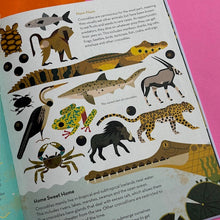 Load image into Gallery viewer, Curious About Crocodiles