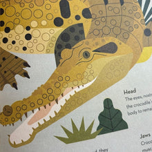 Load image into Gallery viewer, Curious About Crocodiles