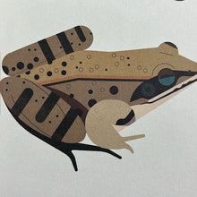 Load image into Gallery viewer, Fanatical About Frogs