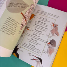 Load image into Gallery viewer, Bird Anatomy : The Curious Lives of the World's Feathered Creatures
