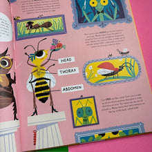 Load image into Gallery viewer, Respect The Insect