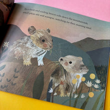 Load image into Gallery viewer, Secrets Of The Mountain