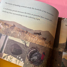 Load image into Gallery viewer, Secrets Of The Mountain