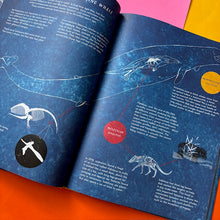 Load image into Gallery viewer, The Whale's Song : Discover the Giants of our Oceans