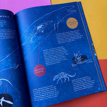 Load image into Gallery viewer, The Whale's Song : Discover the Giants of our Oceans