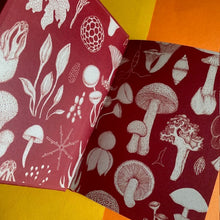 Load image into Gallery viewer, Fungarium - Mini Book