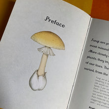 Load image into Gallery viewer, Fungarium - Mini Book