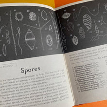 Load image into Gallery viewer, Fungarium - Mini Book