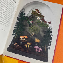 Load image into Gallery viewer, Fungarium - Mini Book