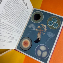 Load image into Gallery viewer, Fungarium - Mini Book