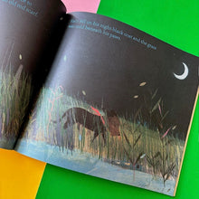 Load image into Gallery viewer, Perdu