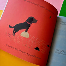 Load image into Gallery viewer, Perdu