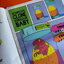 Load image into Gallery viewer, FAKE NEWS ISSUE