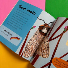 Load image into Gallery viewer, My First Book Of Woodland Animals