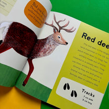 Load image into Gallery viewer, My First Book Of Woodland Animals
