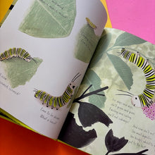 Load image into Gallery viewer, The Monarch