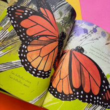 Load image into Gallery viewer, The Monarch