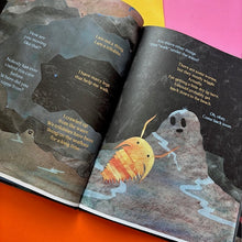 Load image into Gallery viewer, Stalactite & Stalagmite : A Big Tale from a Little Cave