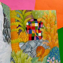 Load image into Gallery viewer, Elmer's Walk