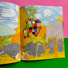 Load image into Gallery viewer, Elmer's Walk