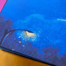 Load image into Gallery viewer, Navigating Night