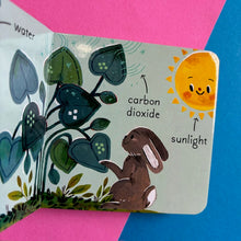 Load image into Gallery viewer, 5 Minutes In Nature Story Box