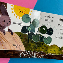 Load image into Gallery viewer, 5 Minutes In Nature Story Box