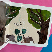 Load image into Gallery viewer, 5 Minutes In Nature Story Box