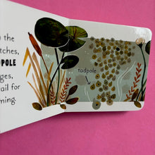 Load image into Gallery viewer, 5 Minutes In Nature Story Box