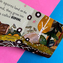 Load image into Gallery viewer, 5 Minutes In Nature Story Box