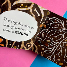 Load image into Gallery viewer, 5 Minutes In Nature Story Box