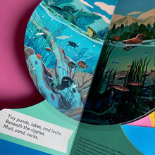 Load image into Gallery viewer, Our Underwater World