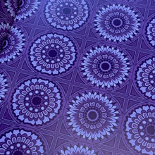 Load image into Gallery viewer, The Bear & The Seed