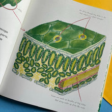 Load image into Gallery viewer, Green - The Story Of Plant Life On Our Planet