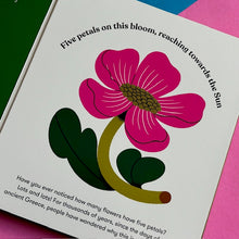 Load image into Gallery viewer, Magic Counting