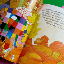 Load image into Gallery viewer, Elmer's Special Day