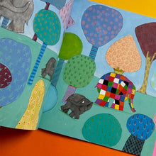 Load image into Gallery viewer, Elmer & The Bedtime Story