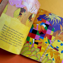 Load image into Gallery viewer, Elmer & The Rainbow