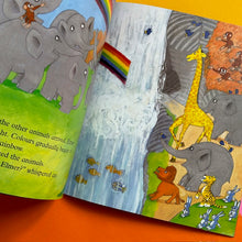 Load image into Gallery viewer, Elmer & The Rainbow