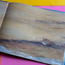 Load image into Gallery viewer, Mariana and The Merchild