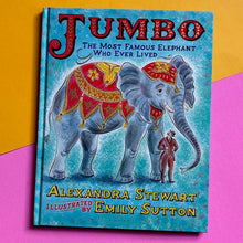 Load image into Gallery viewer, Jumbo