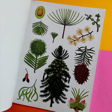 Load image into Gallery viewer, Arboretum - Poster Book