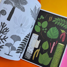 Load image into Gallery viewer, Arboretum - Poster Book